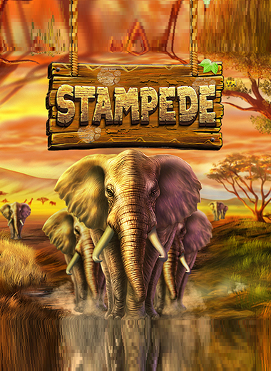 Stampede - wildfortune casino